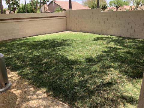 16645 S 38th Pl, Phoenix, AZ 85048 photo 11