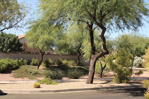 2538 W Carson Rd, Phoenix, AZ 85041 photo 7