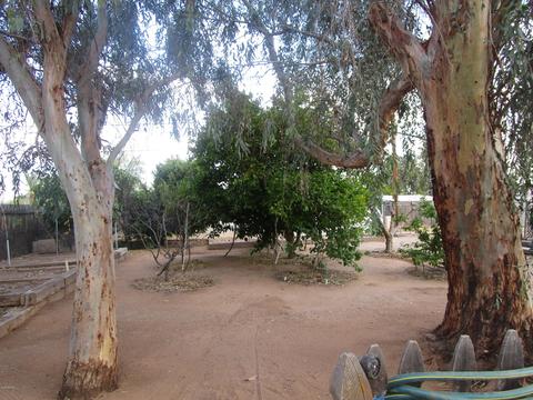 8107 E 3rd Ave, Mesa, AZ 85208 photo 34