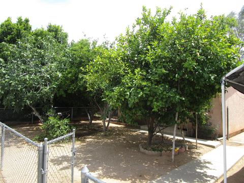 8107 E 3rd Ave, Mesa, AZ 85208 photo 16