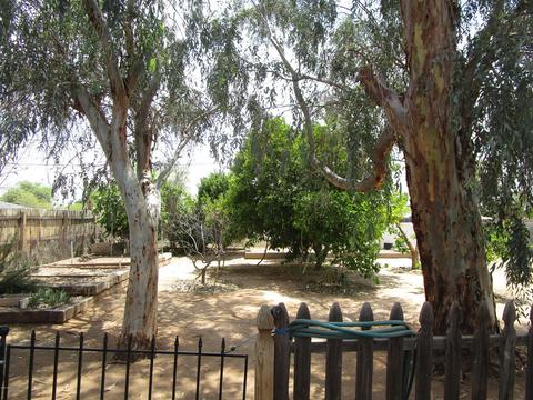 8107 E 3rd Ave, Mesa, AZ 85208 photo 7