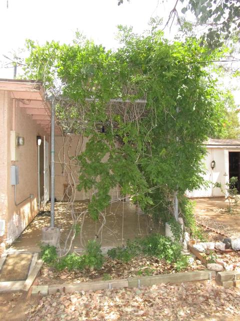 8107 E 3rd Ave, Mesa, AZ 85208 photo 4