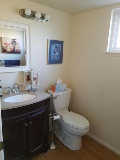 2114 E Sheena Dr, Phoenix, AZ 85022 photo 9