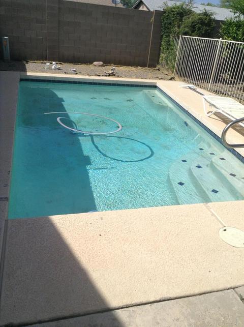3526 E Thunderbird Rd, Phoenix, AZ 85032 photo 25
