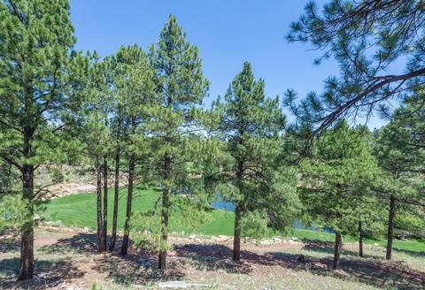 1790 Elysian Ct, Flagstaff, AZ 86005 photo 4