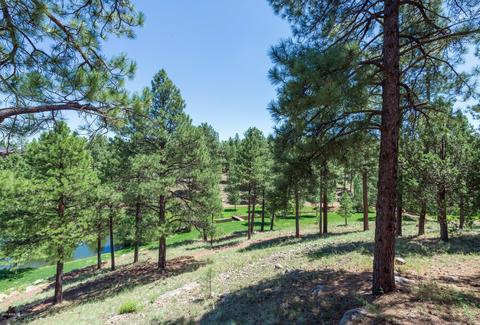 1790 Elysian Ct, Flagstaff, AZ 86005 photo 3