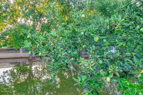 13827 E Ray Rd, Gilbert, AZ 85296 photo 79