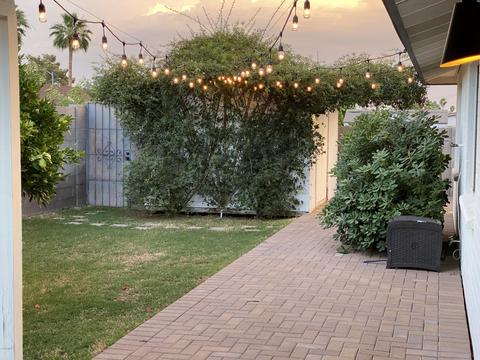 2414 E Sylvia St, Phoenix, AZ 85032 photo 19