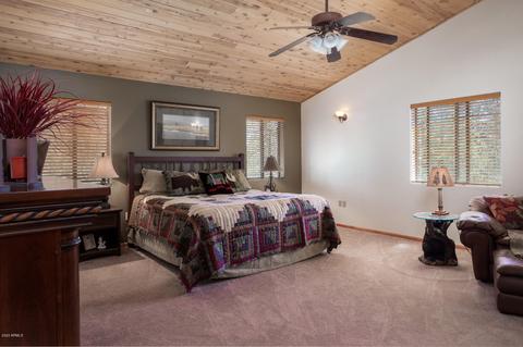 3321 Ox Bow Bnd, Overgaard, AZ 85933 photo 4