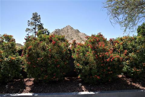 2311 E Yucca St, Phoenix, AZ 85028 photo 26