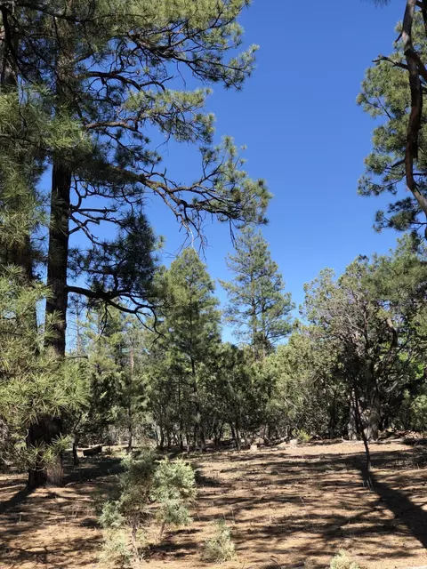 2757 High Ridge Rd #-, Overgaard, AZ 85933 photo 4