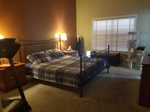 1285 E Palo Verde St, Gilbert, AZ 85296 photo 6
