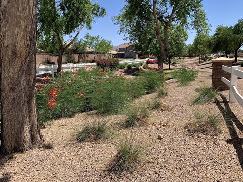 2468 E Anika Dr, Gilbert, AZ 85298 photo 43