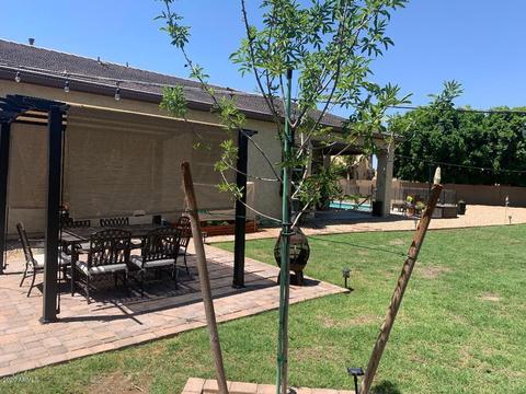 167 N Abalone Dr, Gilbert, AZ 85233 photo 21
