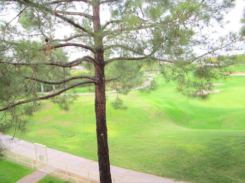 4303 E Cactus Rd #147, Phoenix, AZ 85032 photo 31