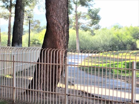 4303 E Cactus Rd #147, Phoenix, AZ 85032 photo 30
