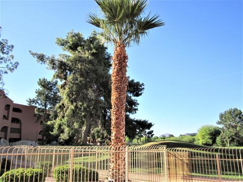 4303 E Cactus Rd #147, Phoenix, AZ 85032 photo 24