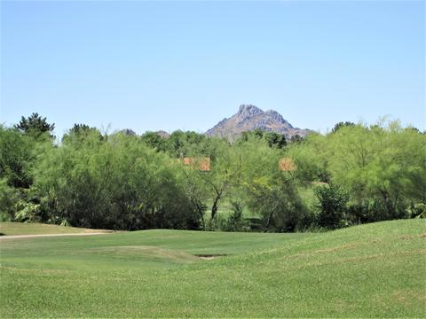 4303 E Cactus Rd #147, Phoenix, AZ 85032 photo 1