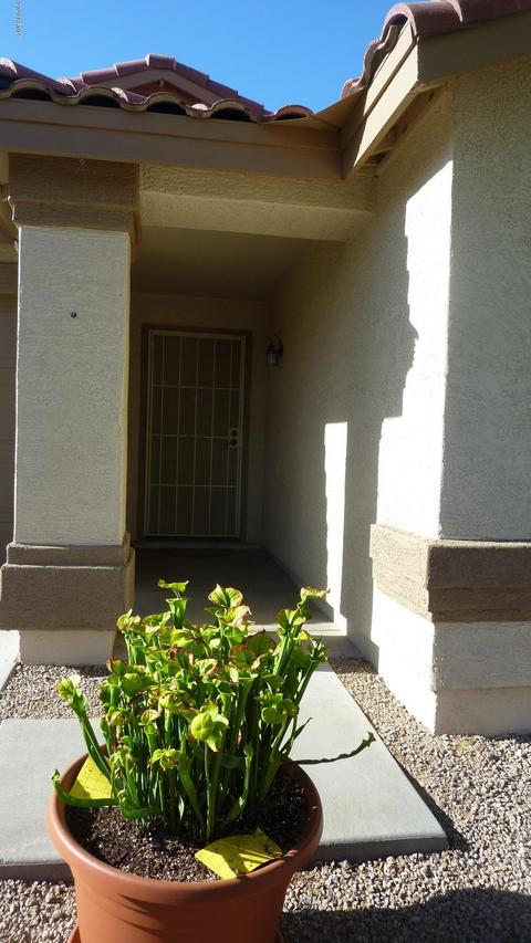3350 S Chaparral Rd, Apache Junction, AZ 85119 photo 3