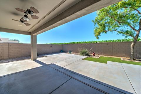 1664 E Dubois Ave, Gilbert, AZ 85298 photo 4