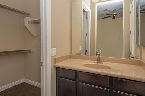 3706 E Cat Balue Dr, Phoenix, AZ 85050 photo 19