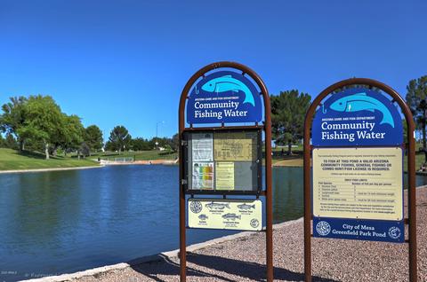 3848 E Diamond Ave, Mesa, AZ 85206 photo 35