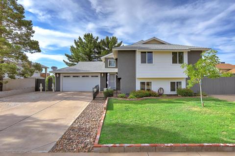 3848 E Diamond Ave, Mesa, AZ 85206 photo 42