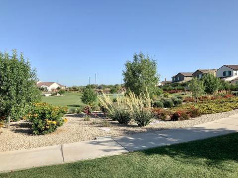 1104 E Goldcrest St, Gilbert, AZ 85297 photo 4