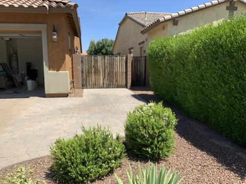 1104 E Goldcrest St, Gilbert, AZ 85297 photo 25