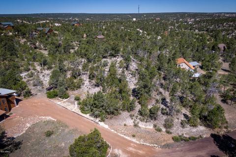 3671 Diamondback Dr, Overgaard, AZ 85933 photo 26