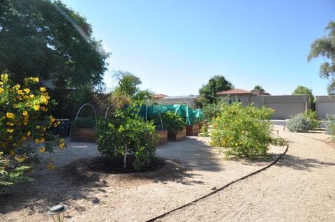 1507 E Nicolet Ave, Phoenix, AZ 85020 photo 6