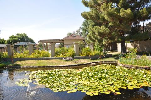 1507 E Nicolet Ave, Phoenix, AZ 85020 photo 14