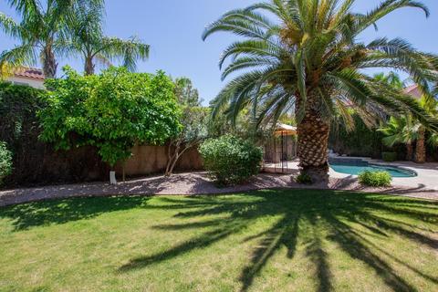 2915 E Redfield Rd, Phoenix, AZ 85032 photo 35