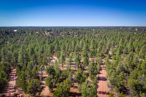 2843 Thunderbird Way, Overgaard, AZ 85933 photo 6