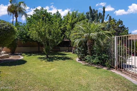 514 E Muriel Dr, Phoenix, AZ 85022 photo 18