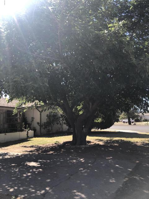 1501 Frederic Dr, Douglas, AZ 85607 photo 31