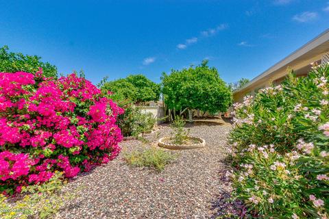 4146 E Dolphin Ave, Mesa, AZ 85206 photo 36