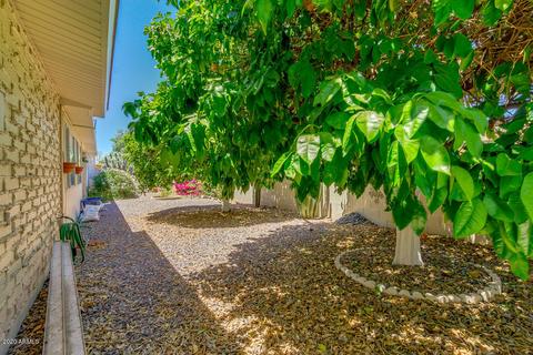 4146 E Dolphin Ave, Mesa, AZ 85206 photo 38