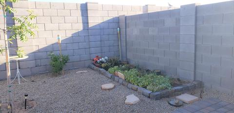 1729 E Mesquite Ave, Apache Junction, AZ 85119 photo 30