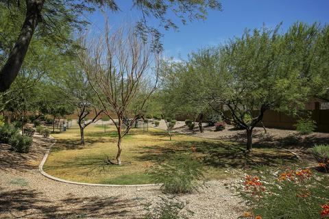 900 W Broadway Ave #51, Apache Junction, AZ 85120 photo 21