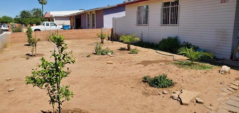 2317 E Sheraton Ln, Phoenix, AZ 85040 photo 4