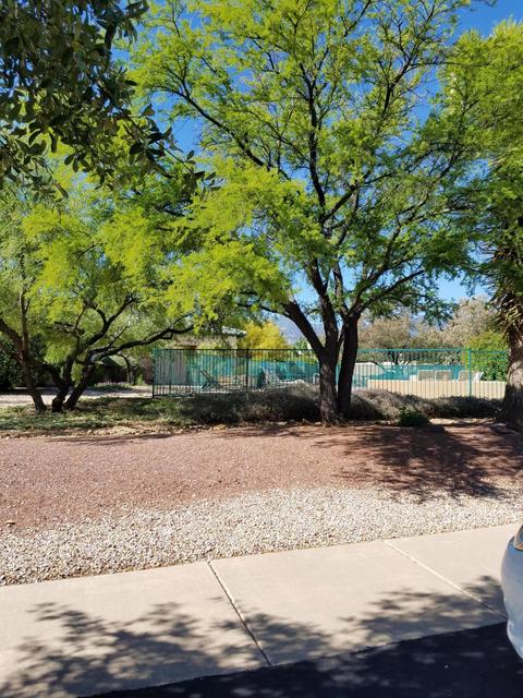 2850 S Softwind Ct, Sierra Vista, AZ 85650 photo 30
