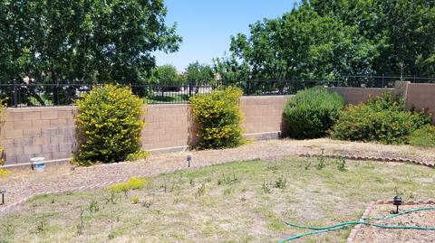 1018 E Gwen St, Phoenix, AZ 85042 photo 5