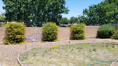 1018 E Gwen St, Phoenix, AZ 85042 photo 4