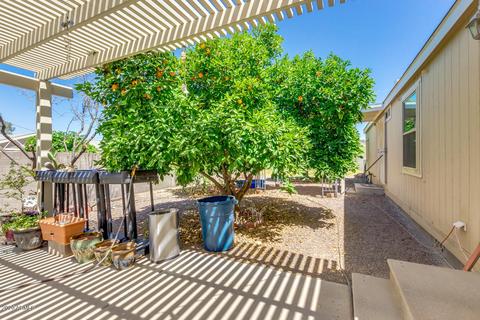 1286 N Gold Dr, Apache Junction, AZ 85120 photo 41