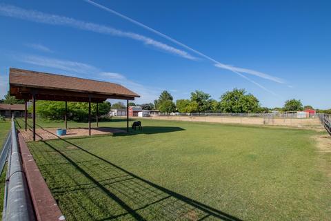 223 E Harrison St, Gilbert, AZ 85295 photo 39