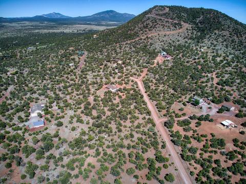 695 E Longpoint Vis, Williams, AZ 86046 photo 36