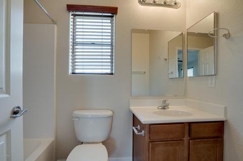 3242 E Anika Dr, Gilbert, AZ 85298 photo 49