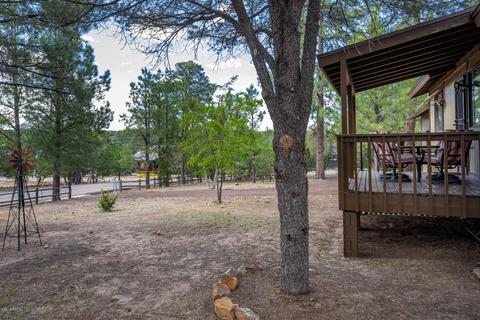 3401 Turkey Run, Overgaard, AZ 85933 photo 22