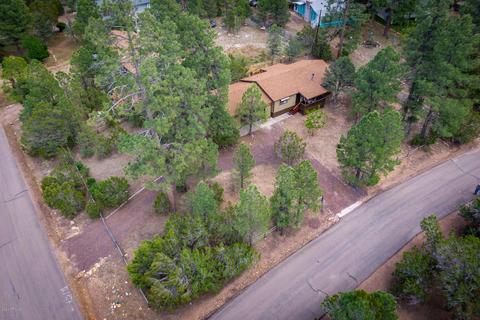 3401 Turkey Run, Overgaard, AZ 85933 photo 4